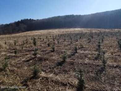 108 Chapel Dr, Mahoning Township, PA 18235 - photo 4