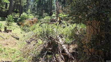 00987 Deer Run Rd, Cedarpines Park, CA 92322 - photo 6