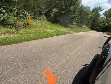 TRACT 6 Cherry Chapel Loop, Savannah, TN 38372 - photo 2