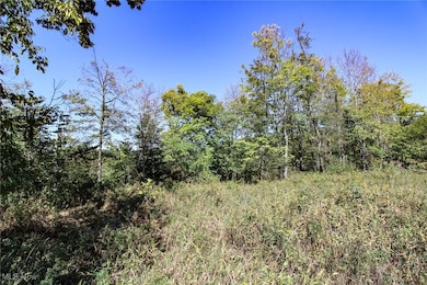 Lot 3 Moss Run Rd, Marietta, OH 45750 - photo 4