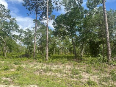 xx Ramsay Way, Panacea, FL 32346 - photo 6
