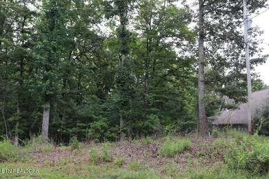 0 Moonlight Bay Dr unit 1309624, Sparta, TN 38583 - photo 3