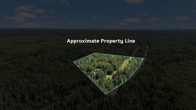 View of property location featuring a forest and property boundaries highlighted