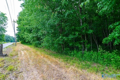 Bobo Section Bobo Section Rd, Hazel Green, AL 35750 - photo 6