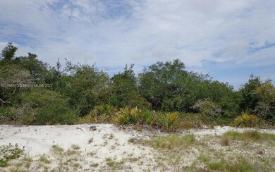 224 Lakeland Dr, Lake Placid, FL 33852 - photo 4