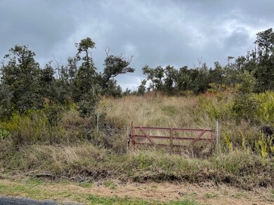 The Property is Gated and Fenced..