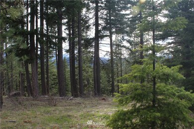 unlisted-address, Cle Elum, WA 98922 - photo 3
