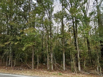 24075 Blood River Rd, Springfield, LA 70462 - photo 3