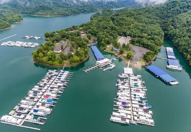 0 Turtle Ln unit RTC3042417, Hilham, TN 38568 - photo 5