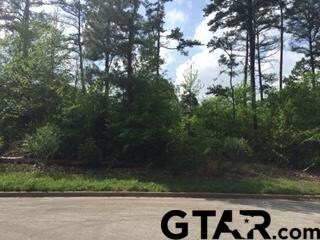 2704 Hemingway, Tyler, TX 75701 - photo 2