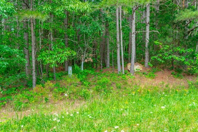 Walnut Grove Property HD-7