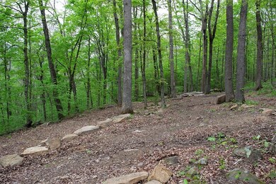 5114 Madison County Rd, Elkins, AR 72727 - photo 3