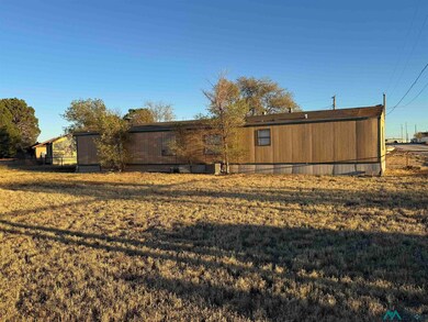 7200 W Billy Ln, Hobbs, NM 88242 - photo 4
