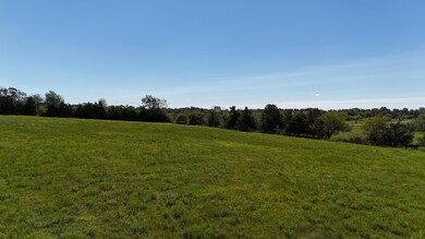 0000 State Highway 38, Elkland, MO 65644 - photo 7