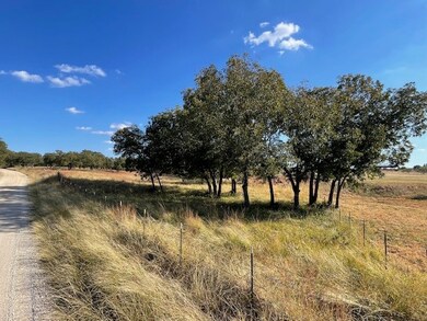 1150 Dps Tower Road #Lot 22, Perrin, TX 76486 - photo 2