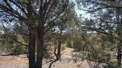 VZM.IMG_20160424_110413 (2)