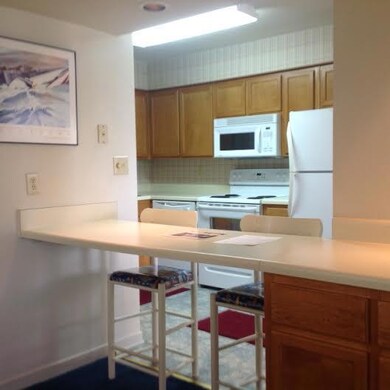Dockside 311 kitchen 2