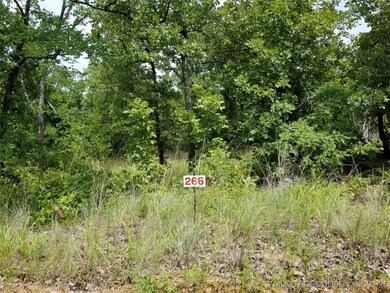 266 Edge Water, Eufaula, OK 74432 - photo 6