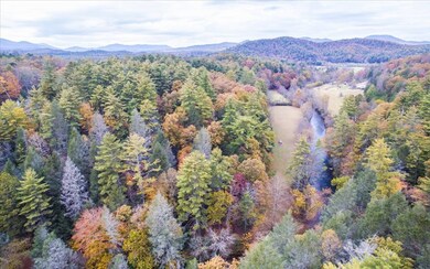 84 Wib Kendall Rd, Blue Ridge, GA 30513 - photo 4