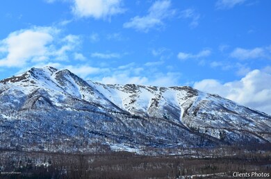 Mountain View 2