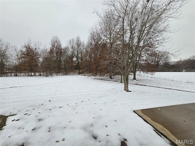 601 Elizabeth Dr, Litchfield, IL 62056 - photo 3