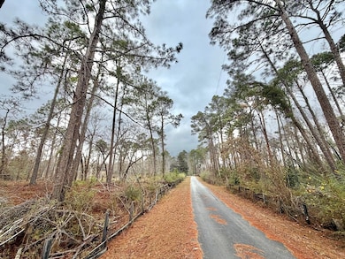 479 Altamaha Rd, Hazlehurst, GA 31539 - photo 5