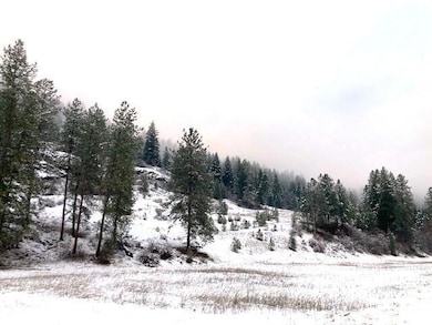 35XX Rockcut Rd, Kettle Falls, WA 99141 - photo 4