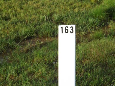 Lot #163