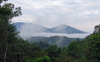 100 Cataula Ct, Ellijay, GA 30540 - photo 2