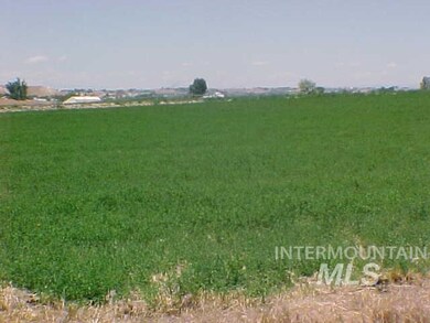 5.35 Ac Market Rd, Homedale, ID 83628 - photo 3