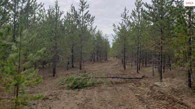 NKA Honeysuckle Rd, Athol, ID 83801 - photo 6