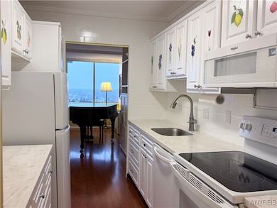 Delaware Tower Condominiums unit 13E, Buffalo, NY 14209 - photo 6