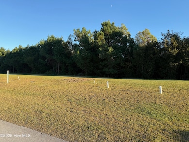 157 Whispering Pine Ln, Holly Ridge, NC 28445 - photo 2