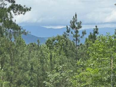 384 Cliffs Pkwy S, Salem, SC 29676 - photo 4