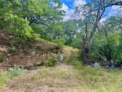 0 John Buchanan Rd unit 24226662, Leakey, TX 78873 - photo 6