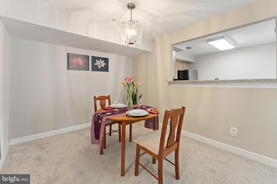 12253 Fairfield House Dr unit 405, Fairfax, VA 22033 - photo 5