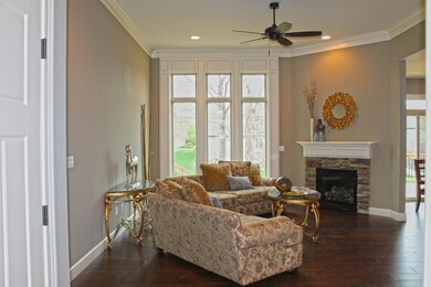 Gas fireplace