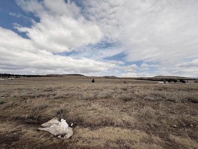 2563 E Meadow Lake Dr, Brian Head, UT 84719 - photo 3