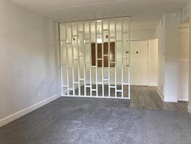 The Cedars unit C303, Mary Esther, FL 32569 - photo 4