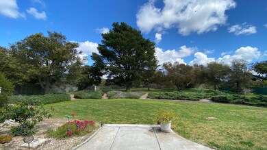 IMG_0526