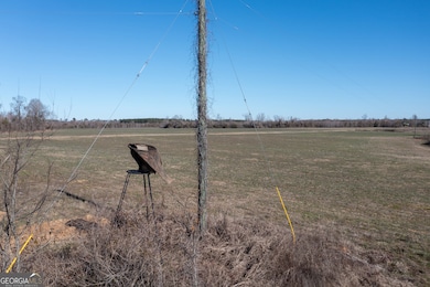 10544 Georgia 17, Wadley, GA 30477 - photo 4