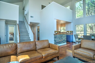 17795 Frank Madla Rd, Helotes, TX 78023 - photo 7