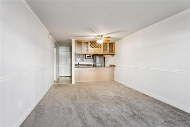 living area with recently replaced carpet and freshly painted