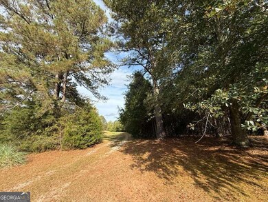 3113 Press Mann Rd, Elberton, GA 30635 - photo 6