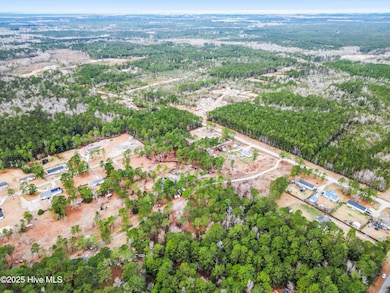 mls-DJI_0663