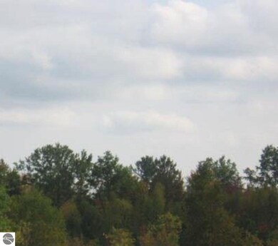 0 Morrison Rd unit 1899385, Alger, MI 48610 - photo 5