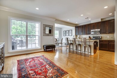 25484 Hopton House Terrace, Chantilly, VA 20152 - photo 7