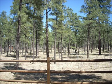 2763 Canyon Ridge Rd  (6)