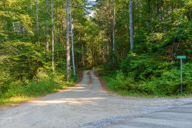 14-00 Lakeview Dr, Bristol, ME-TP