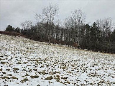 699 Kilroy Rd, Oxford, NY 13830 - photo 7